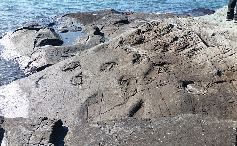 사천 아두섬 공룡화석산지