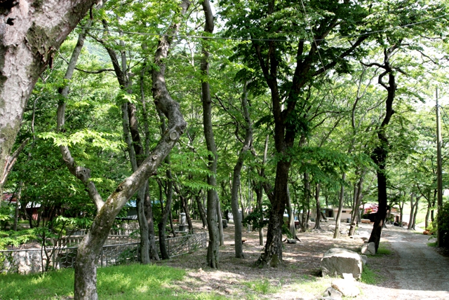 진분계숲