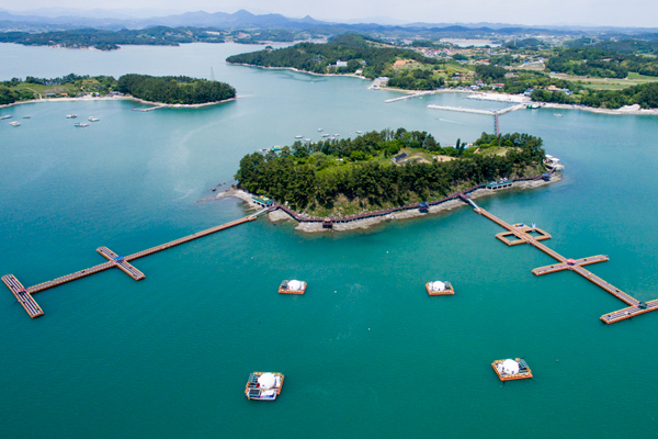 Vito Marine Fishing Park