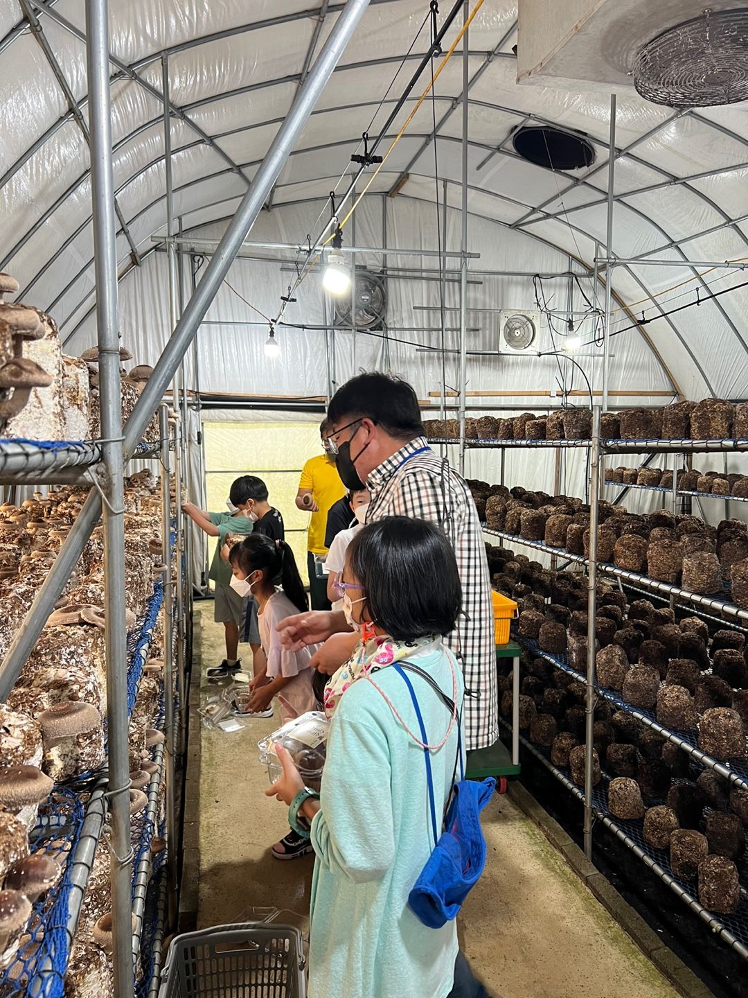 Mushroom Playground Sacheon Forest Shiitake