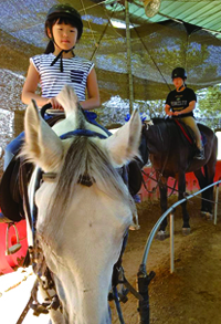 Sacheon Horse Riding Center